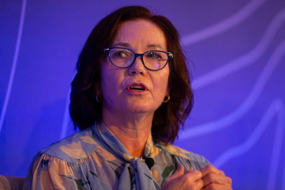 Minerals Council chief executive Tania Constable.