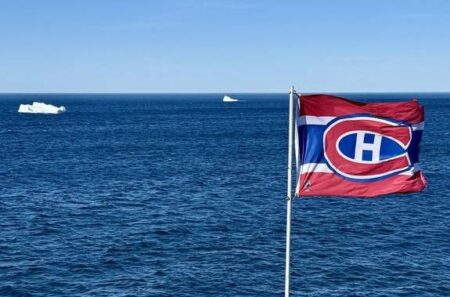 Alex Newhook fans turn N.L. bars into ‘mini Bell Centres’ during Habs playoff games