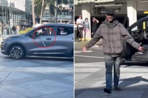Bat-wielding driver with dog terrorizes shoppers in Santa Monica as city struggles to control crime crisis