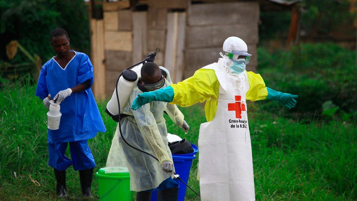 A health worker spraying disinfectant on a colleague at an Ebola treatment center