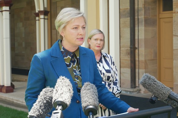 Queensland Minister for Disability Services Amanda Camm says her priority is ensuring Queenslanders have a sustainable disability support system that allows them to access the help they need.