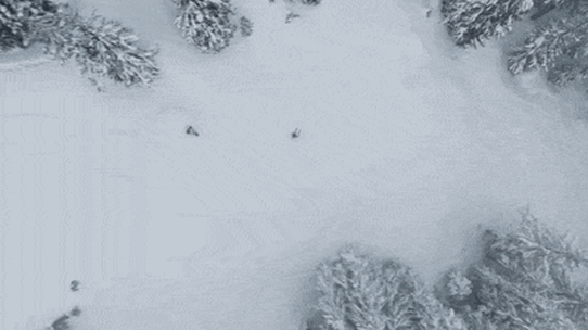 Whistler