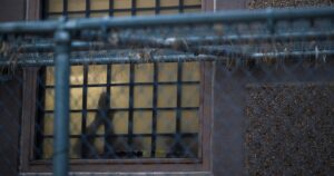 Thousands of asylum-seekers abandon their cases as ICE seeks to deport them to nations they aren’t from