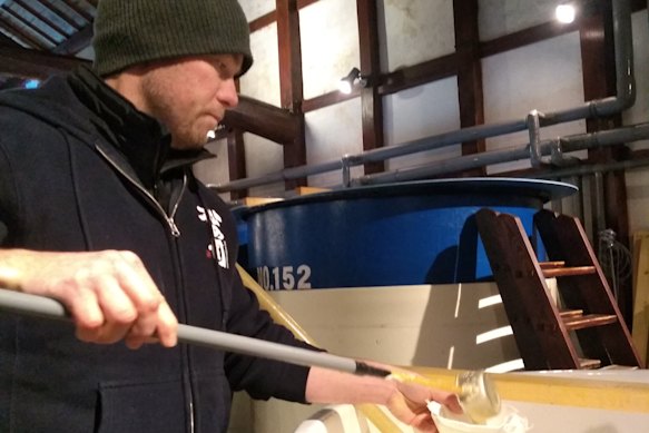 Matt Froude takes samples of moromi –  mash created during fermentation –  at Matsuse sake brewery in Japan.