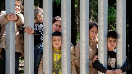 Fact check: Is the EU fining member states that don’t accept migrants?