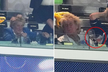 Outrage as Rod Stewart seen drinking at Scotland game — after canceling CA show just 40 minutes before it began