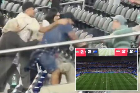 Moment vicious brawl breaks out in stands of Iran World Cup match