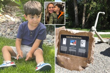 Boy, 3, crushed to death by park monument was rushed to hospital where mom works as nurse: ‘Unimaginable’