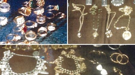 ‘High-value’ jewellery, cash, stolen from elderly woman in Perth’s east; Albany residents divided on shark cull proposal after fatal attack