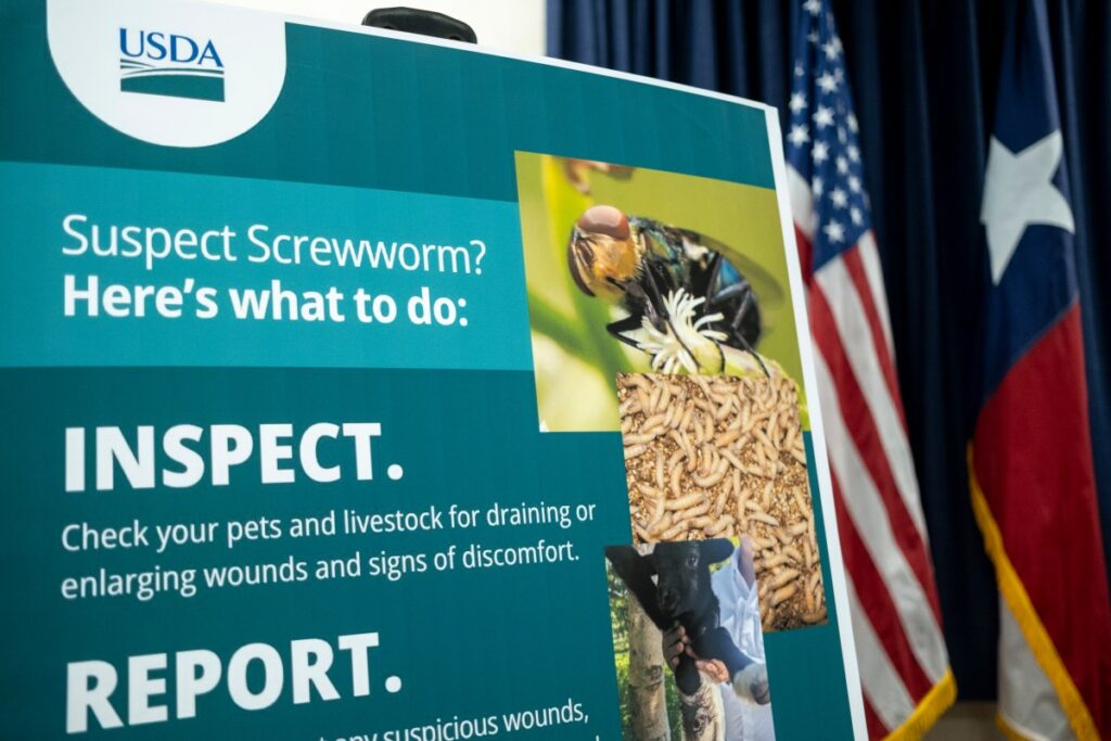 FDA Approves Emergency Screwworm Medicine for Pets: Which Animals Qualify