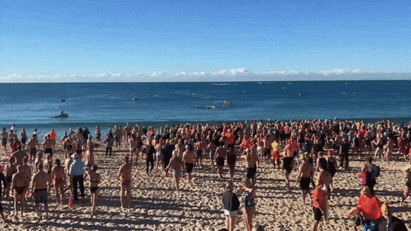 Swimmers make their way into the ocean at Coogee on Sunday.