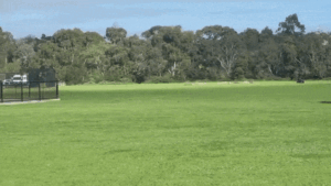 Dynamite exploded in Merri Park, behind Northcote High School