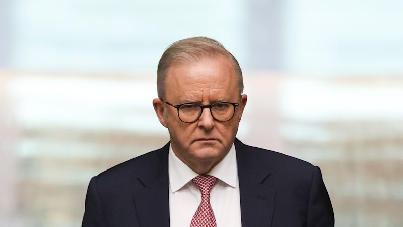 Albanese vows to cut migration as One Nation leads in third poll; Xi Jinping lands in North Korea for meeting with Kim Jong-un