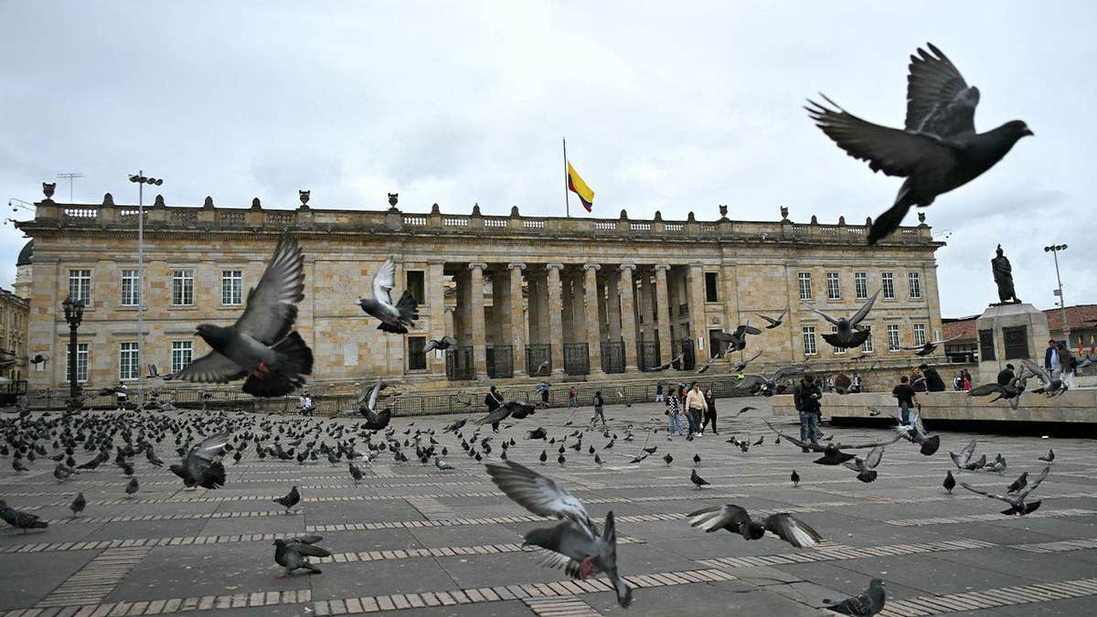 Birds flying near Bolivar Square with the Congress of Colombia in the background