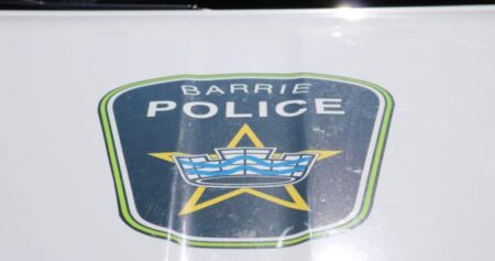 Search for ‘aggressive’ dog that attacked child in Barrie continues
