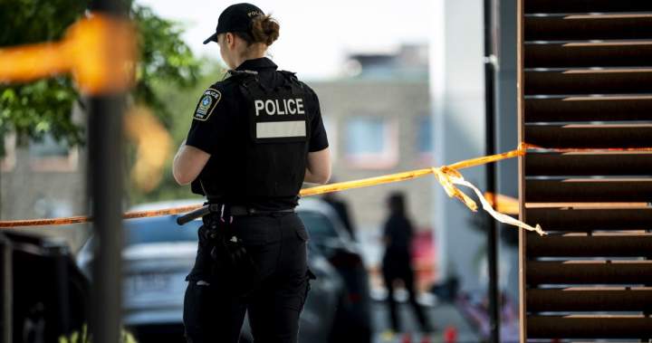 Montreal shooter’s ‘anti-women’ manifesto reflects growing warnings: experts