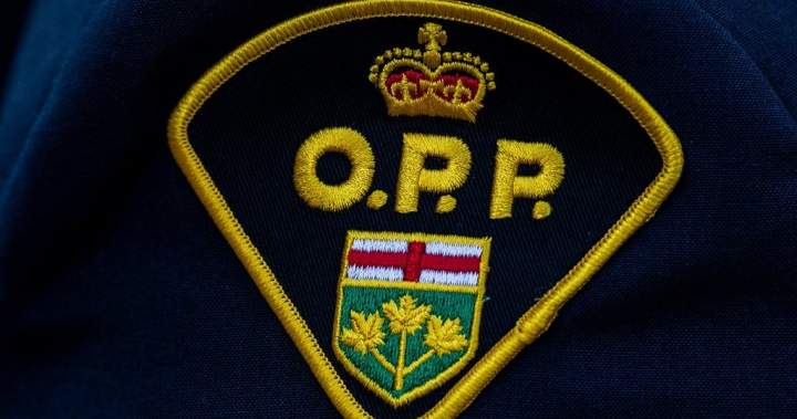 Deadly Ontario collision leaves 10 injured or killed: OPP