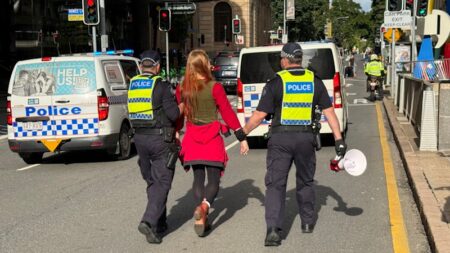 Six arrested at Brisbane Palestine rally including flotilla activist detained by IDF