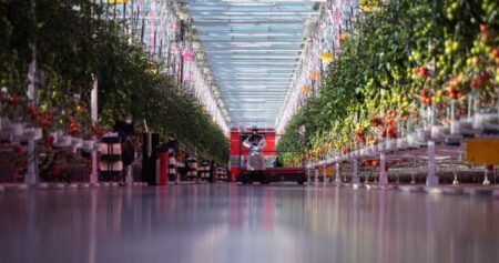 Why ramping up Canada’s indoor farming capacity may prove ‘difficult’