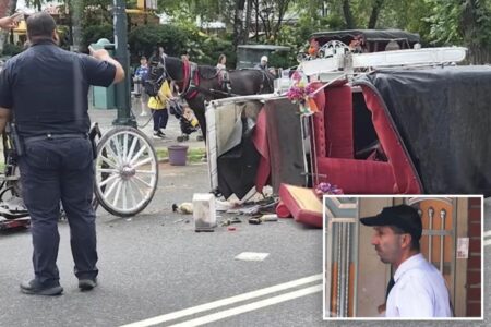 NYC carriage horse driver ‘devastated’ after teen tourist dies, union halts rides in response to tragedy