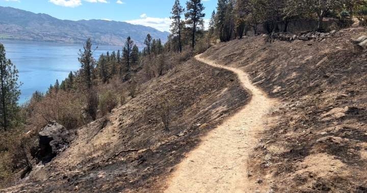 Suspected illegal campfire blamed for Kalamoir Park wildfire as safety concerns remain