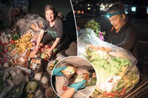 Exclusive | Dumpster-diving NYers mine luxe supermarket trash to dine like kings — for free: ‘It’s still fresh’