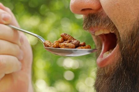 Eating insect-based foods may be easier to stomach than consumers expect, researchers claim