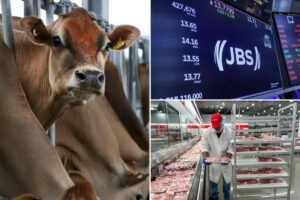 World’s largest meat supplier shuts two plants — and it’s bad news for beef lovers