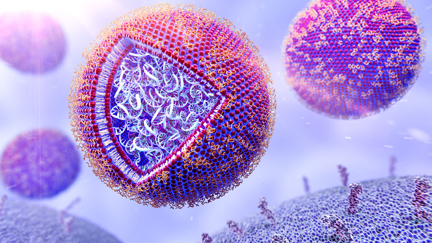 An illustration shows pink and purple bubbles representing mRNA lipid nanoparticles. In the front left center of the image, one of the bubbles has a triangular cutout that reveals a mass of mRNA inside. The cut away also reveals the structure of the membrane surrounding the RNA.