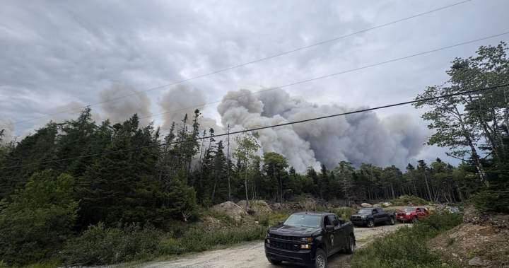 Wildfire northeast of Halifax being held, N.S. officials say