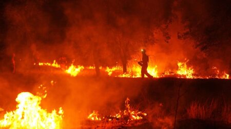 False claims about devastating wildfires spread in Spain