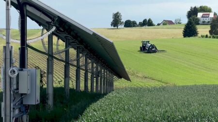 Agri-PV leads the way towards the sustainable use of solar panels