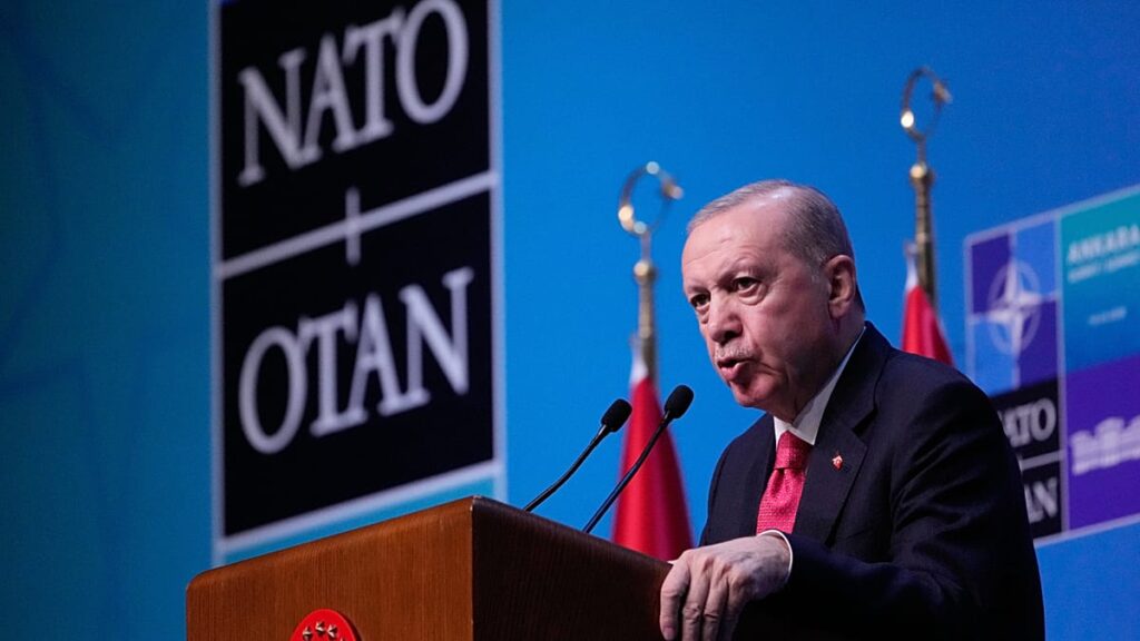 How NATO leaders reacted to Erdoğan’s elaborate firearm gift
