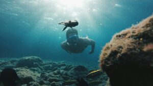 Canary Islands’ voluntary tourist tax to fund sustainability projects