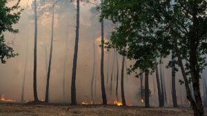 Evacuations ordered in Bordeaux suburbs as wildfires continue