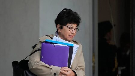 French environment minister to stay on after announcing resignation