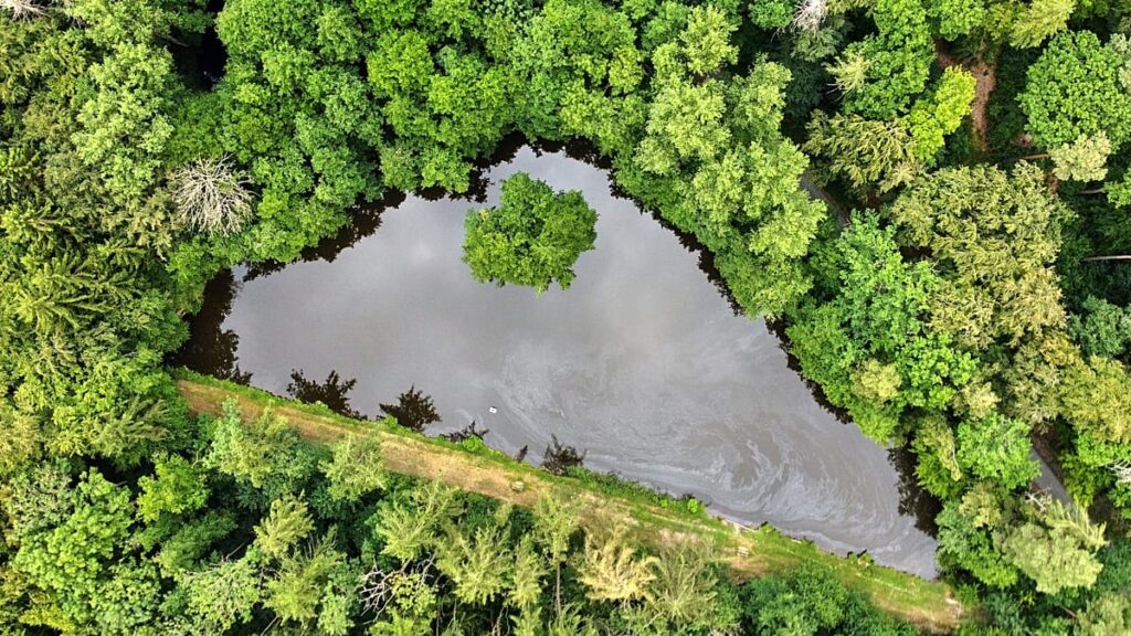 From AI to greenlash: How is climate disinformation evolving?