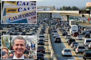 Gavin Newsom’s California to share driver’s license data that could expose illegal immigrants