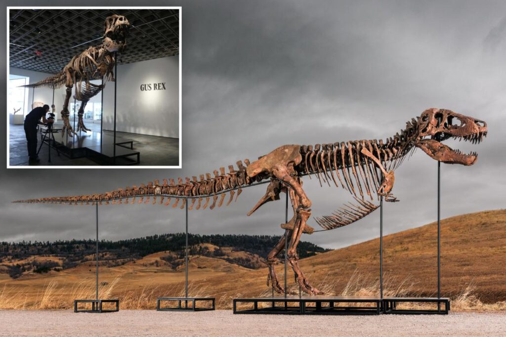 Mystery bidder buys ‘Gus’ the T. rex for a record $50M: ‘Exceptional find’