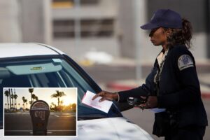 Shocking LA parking-ticket scheme squeezes jaw-dropping sum from drivers