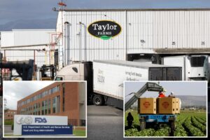 FDA says it still thinks ‘diarrhea parasite’ came from Taylor Farms — and insists it didn’t apologize