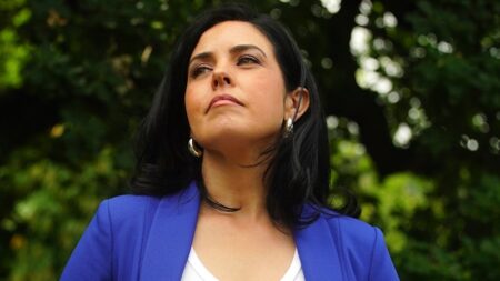 Moira Deeming “regrets” damage to Liberals from her latest Supreme Court case