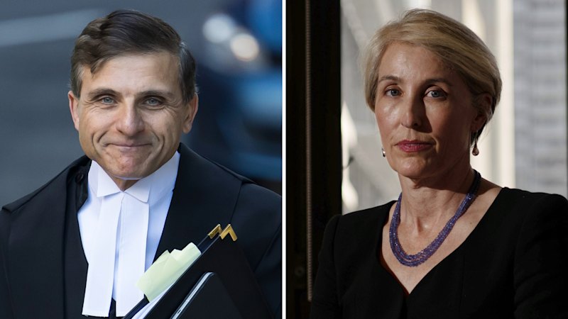 Arthur Moses says report about DPP Sally Dowling cannot be ignored