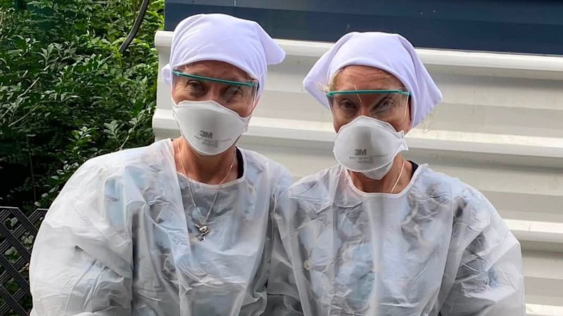 Sick petrel found on Noosa beach, brought to Twinnies, tested for avian influenza