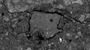 The 2024 New York City meteorite contains amino acids