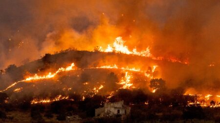 Europe’s fires reveal deadly mix of record heat, human error, arson and land mismanagement