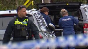 Accused rapist allegedly ambushed woman working from home