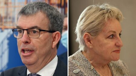 WA government ministers appear in defamation stoush involving Perth property developer