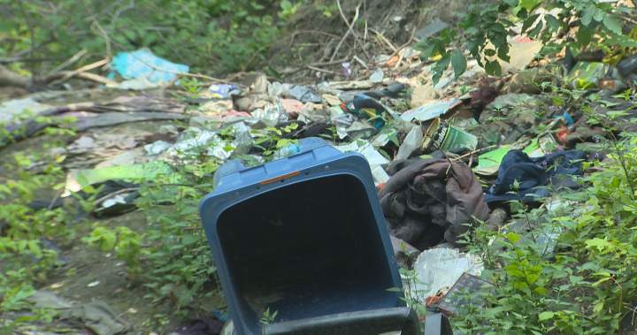 City orders Winnipeg property manager to clean up encampment debris
