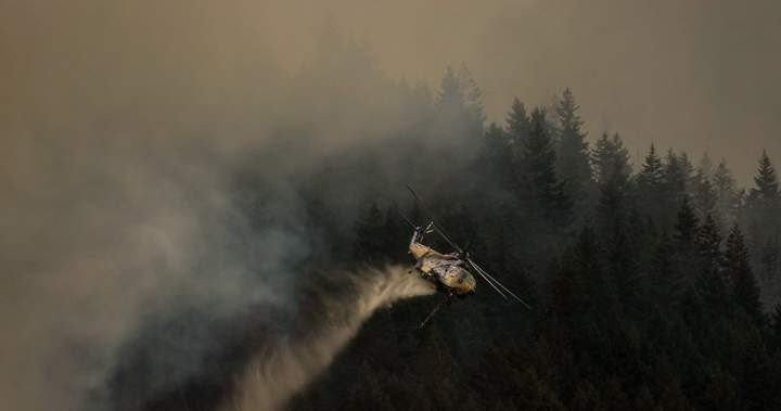 Crews work through night on B.C. wildfire as evacuation orders hold